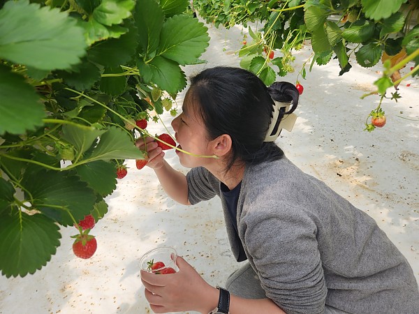 5bbdf5519cdd9b93d1a21f2f463761ef_1777510