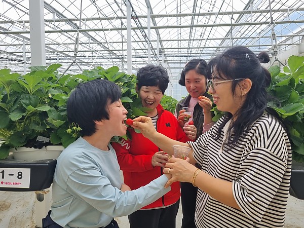 5bbdf5519cdd9b93d1a21f2f463761ef_1777510